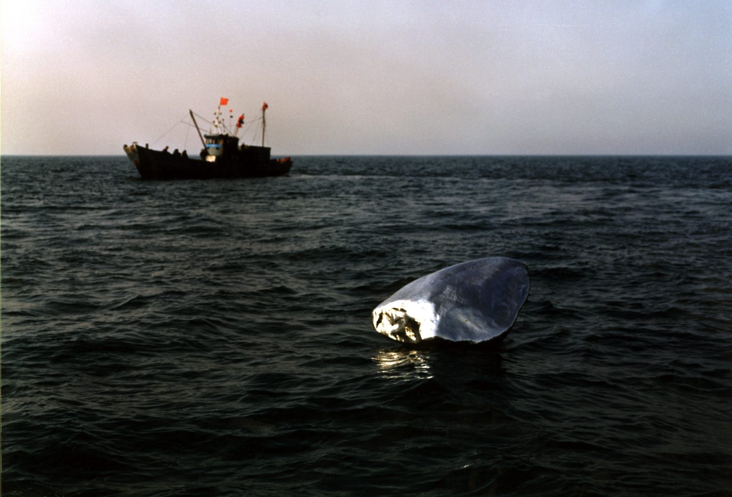 A shiny silver object floating in the water with a fishing boat in the background.